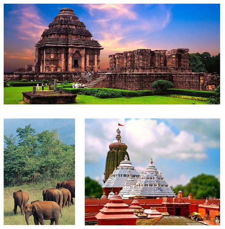 Puri – Bhubaneswar Temple & Beach Getaway (3N/4D)